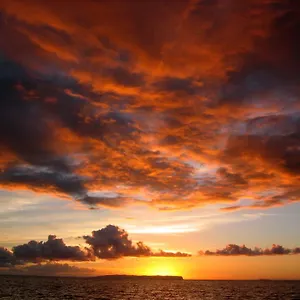 https://west-kauai-lodging.hotelsinhawaii.org